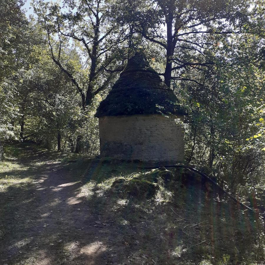 Le Manoir De Carlucet Gite Saint-Crépin-et-Carlucet Eksteriør bilde